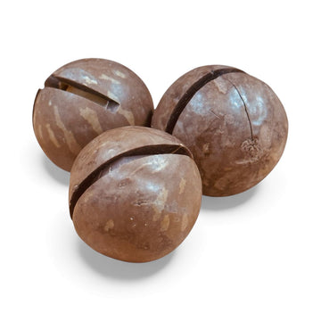Inshell Roasted Macadamia unsalted 300g