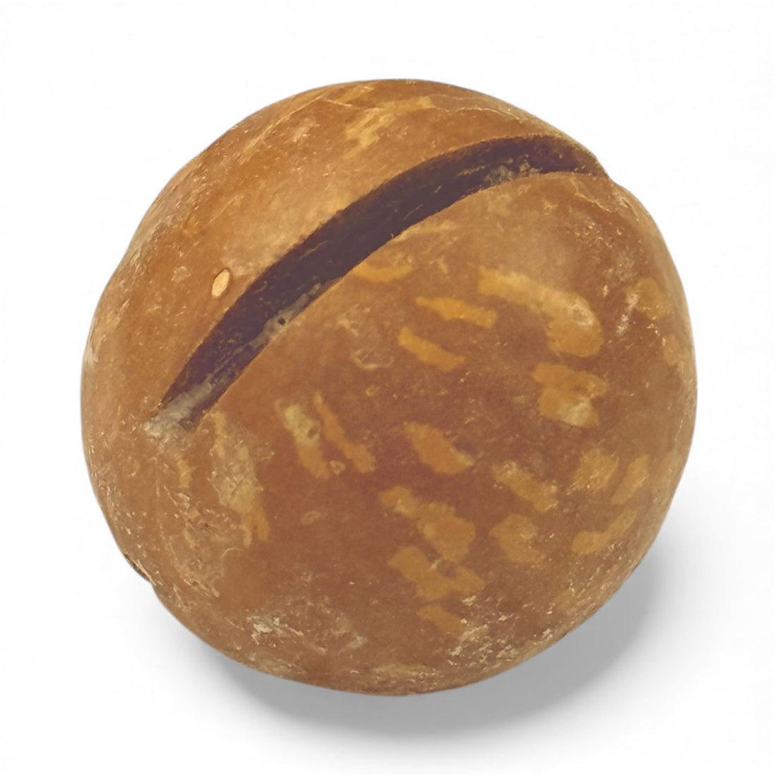 Roasted and sea salted inshell Macadamia 300g